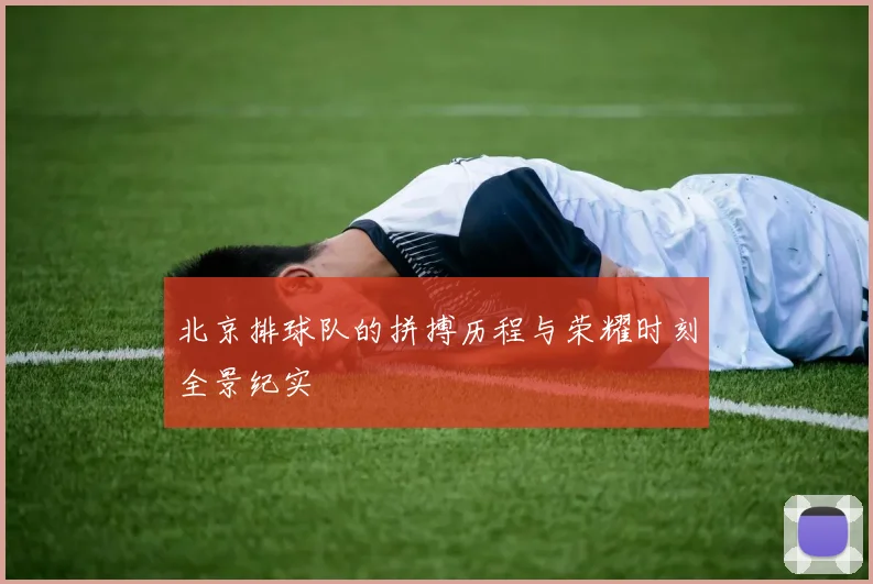 北京排球队的拼搏历程与荣耀时刻全景纪实