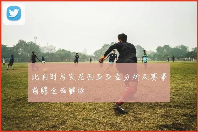 比利时与突尼西亚亚盘分析及赛事前瞻全面解读